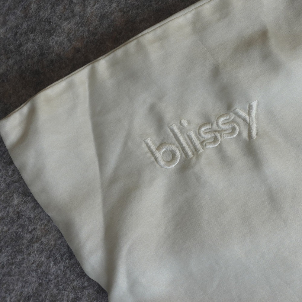 Blissy Pillowcase 100% Pure Mulberry Silk Queen Ivory Zippered 22-Momme Luxury